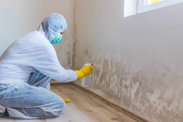 Hvac And Air Duct Mold Remediation inspection of HVAC system in Capron
