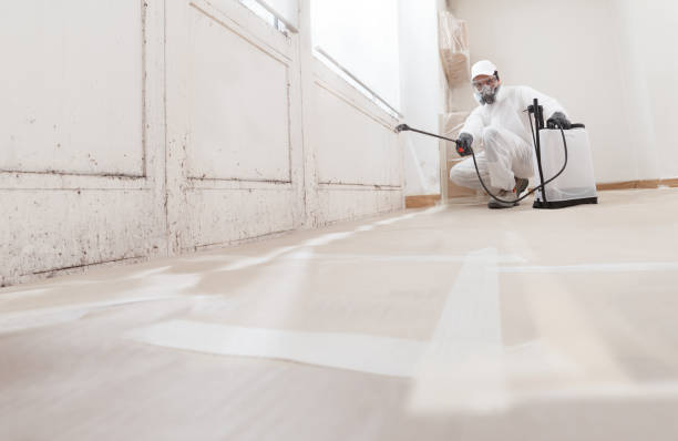 Post-remediation clearance in Capron